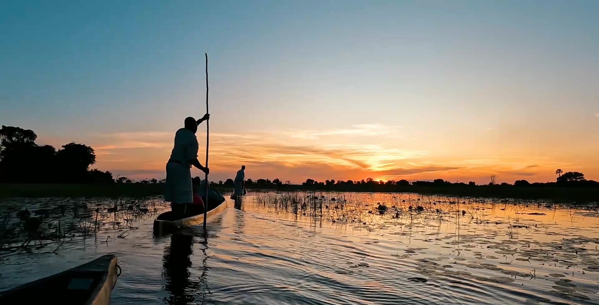 Capturing the Authentic Sage and Wild Eye Partnership