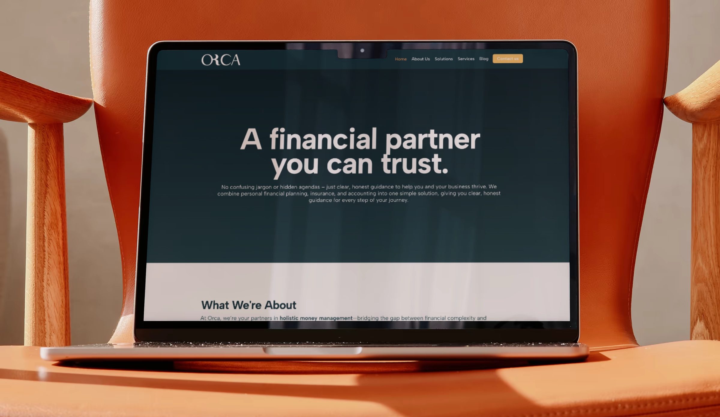 Designing the unified Orca Consult website